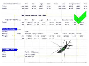 Insect Inspection 3x4